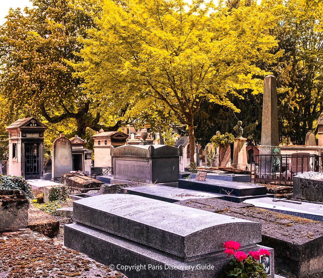 Touissaint flowers by a grave at Montparnasse Cemetery