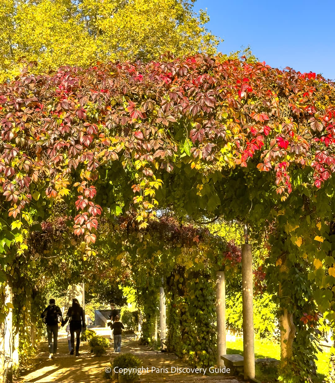 Fall foliage and blue sky in Montmartre's Parc Marcel Bleustein Blanchet in early November