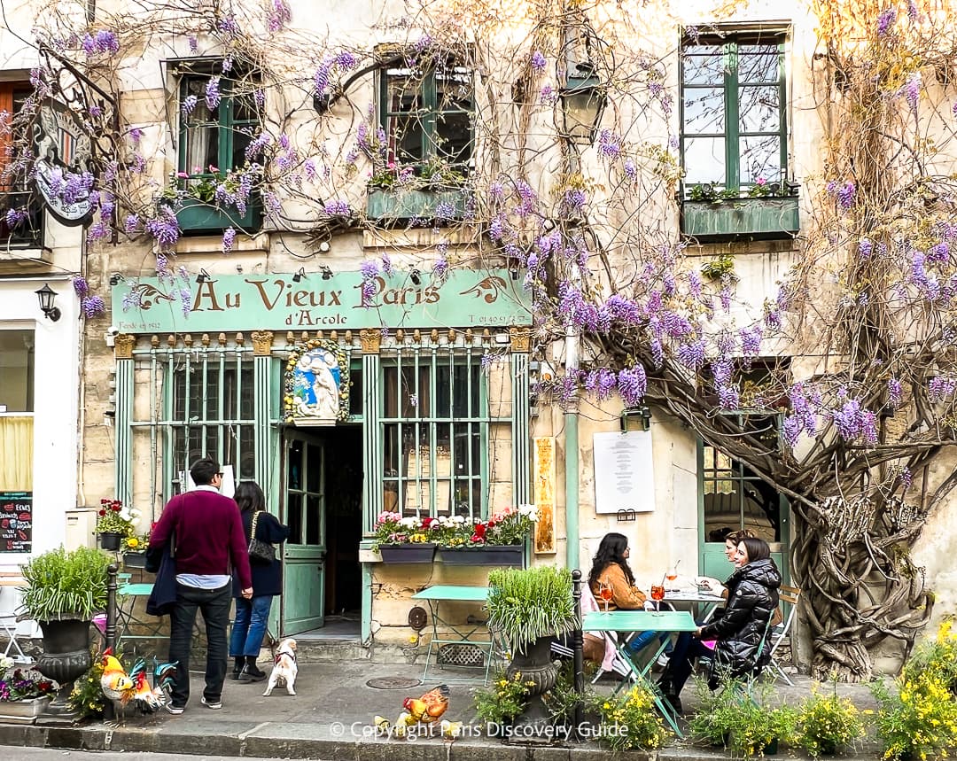 Wisteria blooming in April at Au Vieux Paris, a traditional bistro near Notre Dame