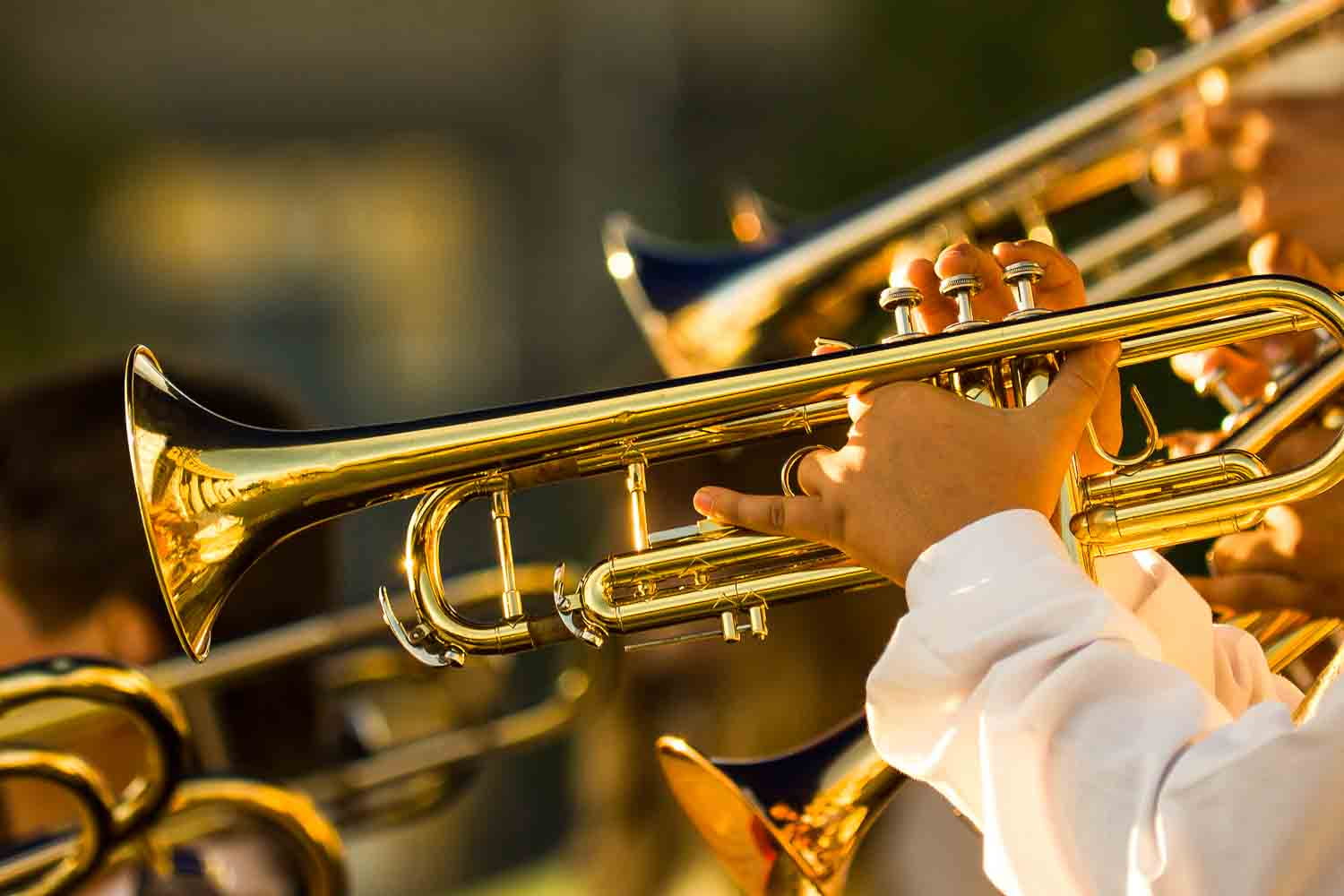 Jazz festival musicians - Photo credit: Jens Thekkeveettil