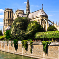 Notre Dame Cathedral