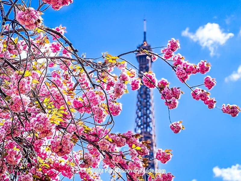 Weather in Paris in April What to Expect and Packing Tips