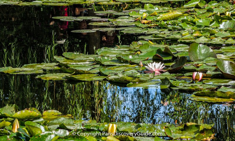 5 Best Day Trips from Paris with Breathtaking Gardens - Mommy Travels